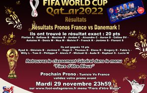 Résultats Pronos : France Vs Danemark !