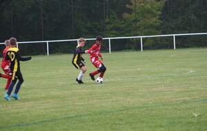 63385127173fa_PhotosU12D2vsSarry01102259.jpg