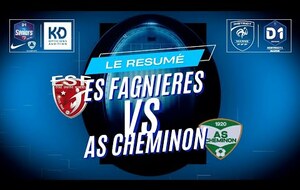 Le Résumé de Match - Es FAGNIERES vs As Cheminon