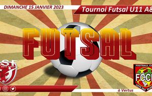 U11A / U11B - Tournoi Futsal a Vertus