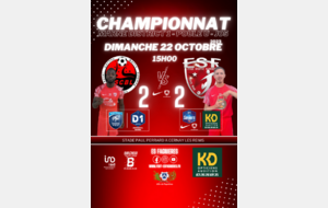 SENIORS MARNE D1/J05 - AS CERNAY BERRU vs ES FAGNIERES