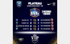 U11A EXCELLENCE - PLATEAU A GUEUX