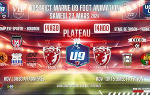 U8/U9 - PLATEAUX A SOUDRON ET A CHALONS