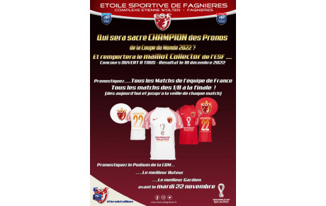 Qui sera le CHAMPION des Pronos de la Coupe du Monde ?