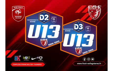 U13 - MARNE D2 &amp; D3 - Nés en 2012 (Saison 2024/2025)